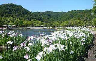 東郷湖羽合臨海公園