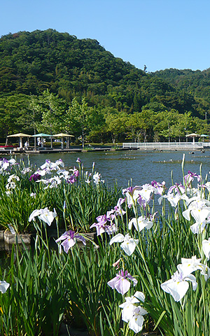 東郷湖羽合臨海公園