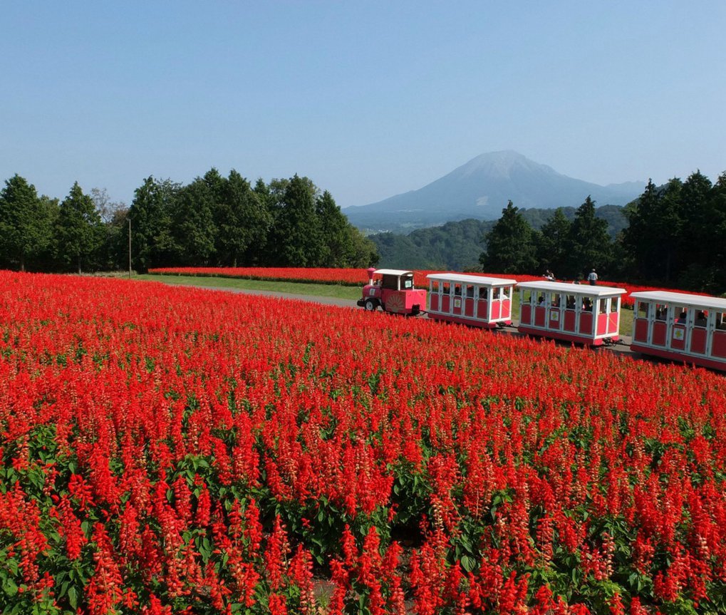 とっとり花回廊