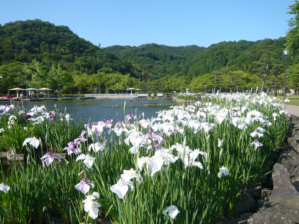 東郷湖羽合臨海公園